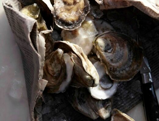 via carota new york united states 2 copy